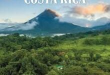 Costa Rica 2026 The Ultimate US Expat Guide to Eco-Luxury Real Estate & The Blue Zone Lifestyle
