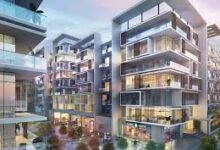 Dubai Family The Elite Schools