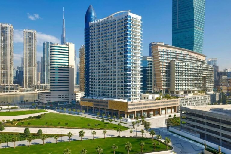 The First Collection Business